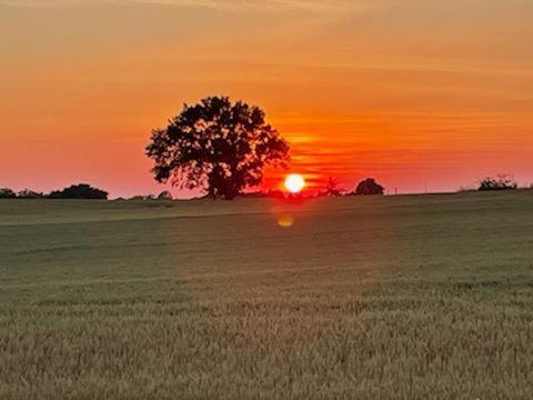 Willa Les Cypres De Crose I Badefols-sur-Dordogne Zewnętrze zdjęcie