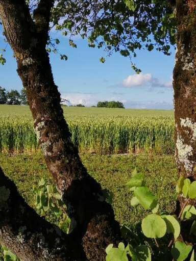 Willa Les Cypres De Crose I Badefols-sur-Dordogne Zewnętrze zdjęcie