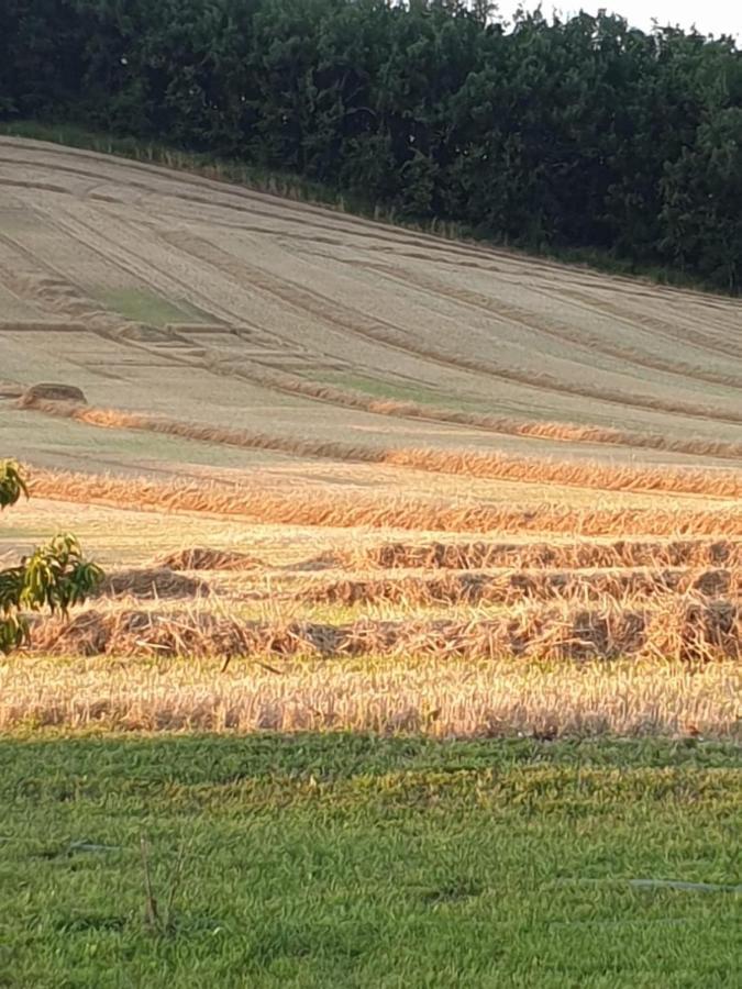 Willa Les Cypres De Crose I Badefols-sur-Dordogne Zewnętrze zdjęcie