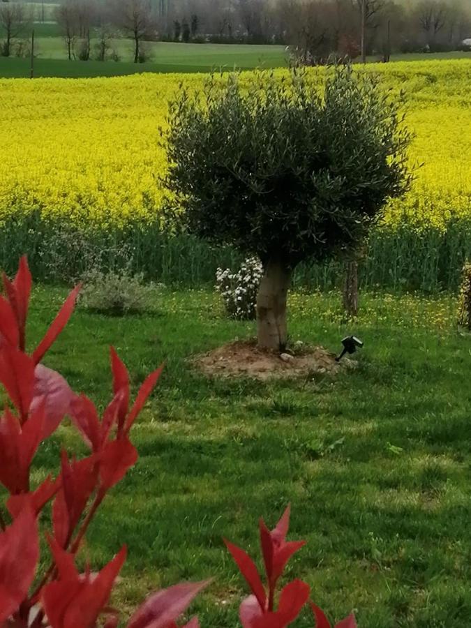 Willa Les Cypres De Crose I Badefols-sur-Dordogne Zewnętrze zdjęcie