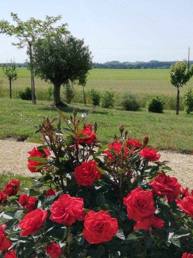 Willa Les Cypres De Crose I Badefols-sur-Dordogne Zewnętrze zdjęcie